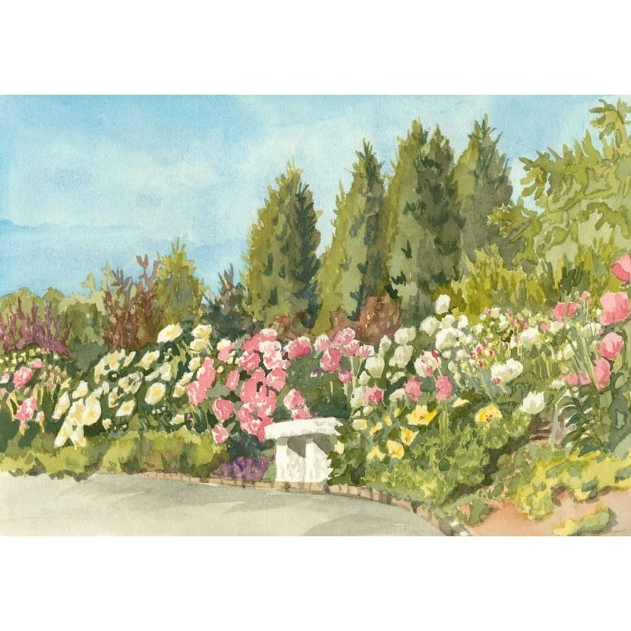 Aquarelle Garden III Poster Print - Dianne Miller-VARPDX148713Z Image 1