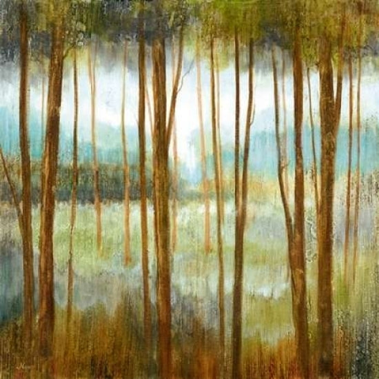 Soft Forest I Poster Print by Nan-VARPDX14876 Image 1