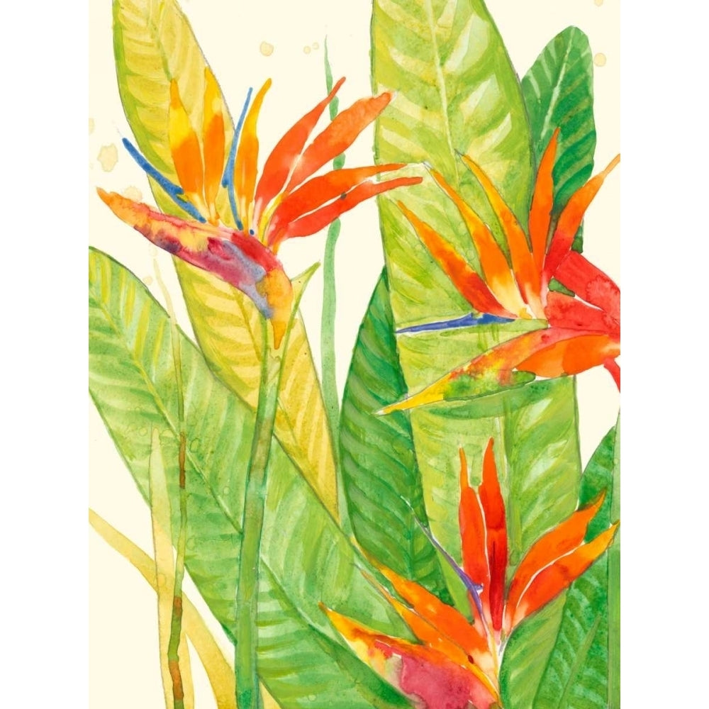 Watercolor Tropical Flowers III Poster Print - Tim OToole-VARPDX148786Z Image 1