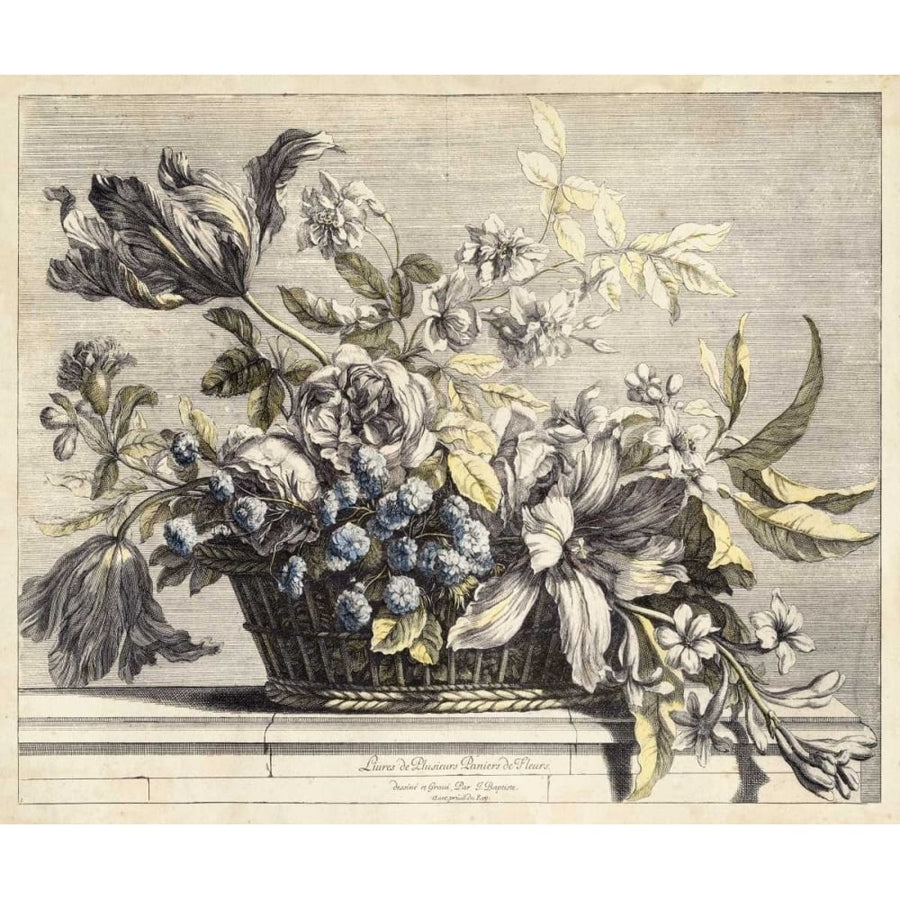 Vintage Basket of Flowers I Poster Print - Giovanni Baptiste-VARPDX148803Z Image 1