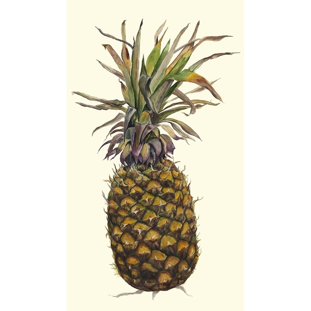 Pineapple Study I-VARPDX148870Z Image 1