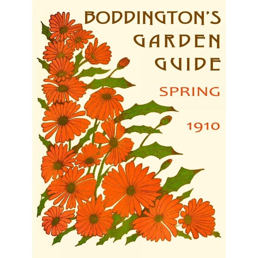 Boddingtons Garden Guide II Poster Print - Studio Vision-VARPDX148856D Image 1