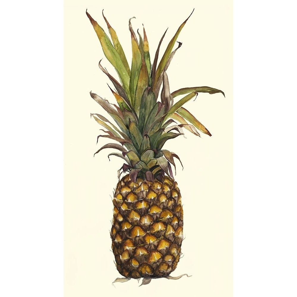 Pineapple Study II-VARPDX148871Z Image 1