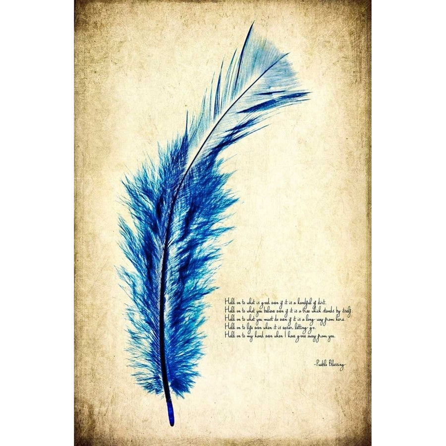 Feather in Color I Poster Print - Honey Malek-VARPDX149015Z Image 1