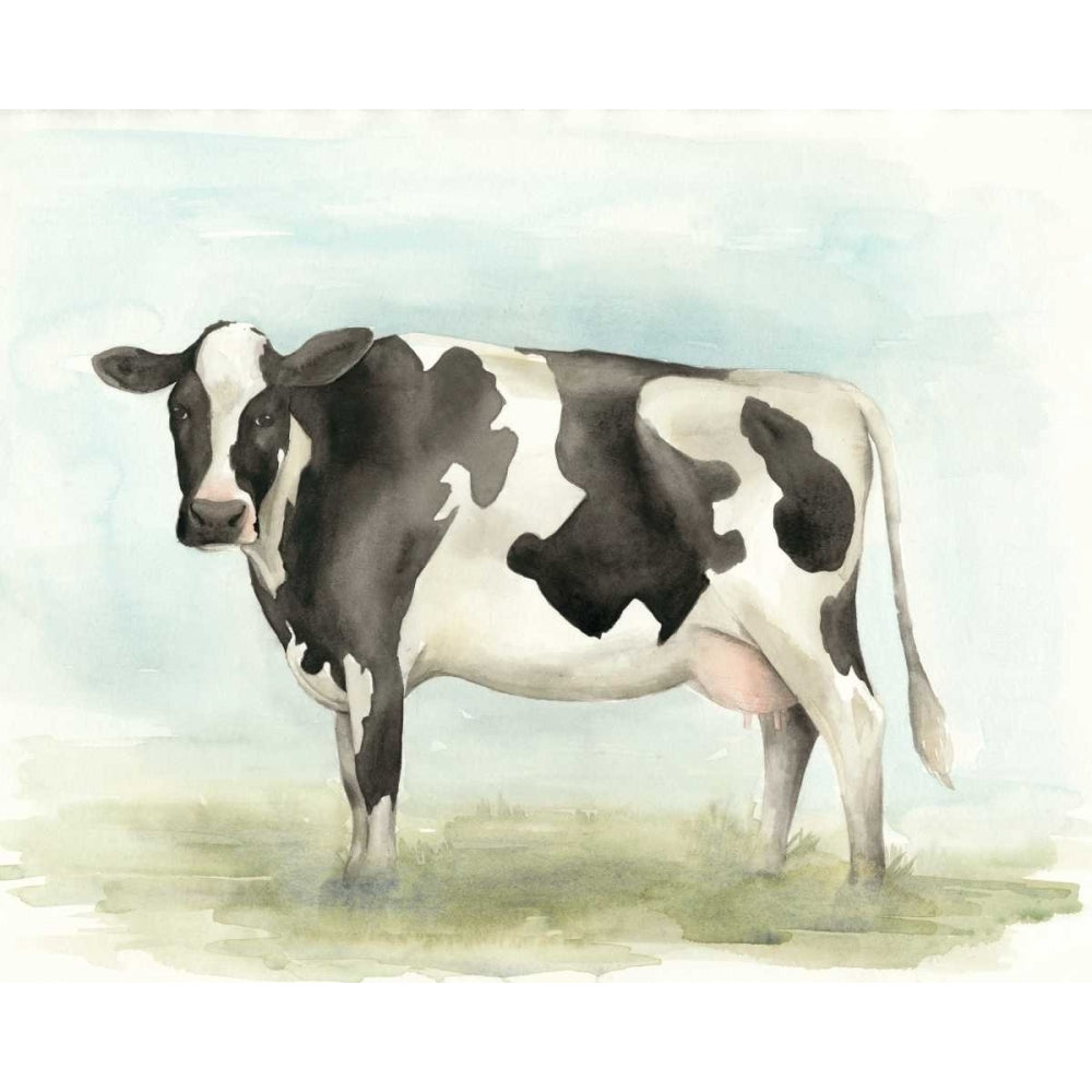 Watercolor Cow II Poster Print - Grace Popp-VARPDX149014Z Image 1