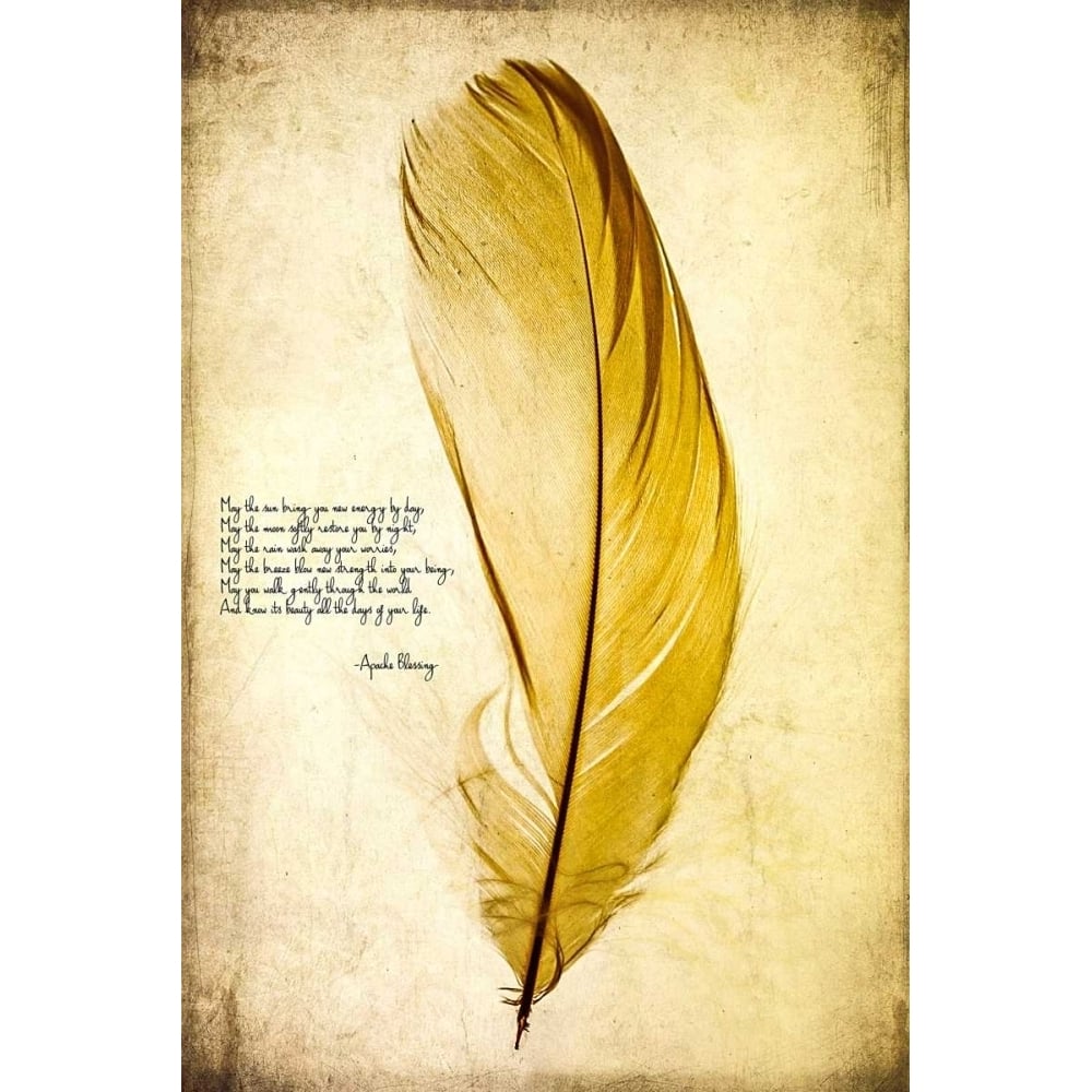 Feather in Color IV Poster Print - Honey Malek-VARPDX149018Z Image 1