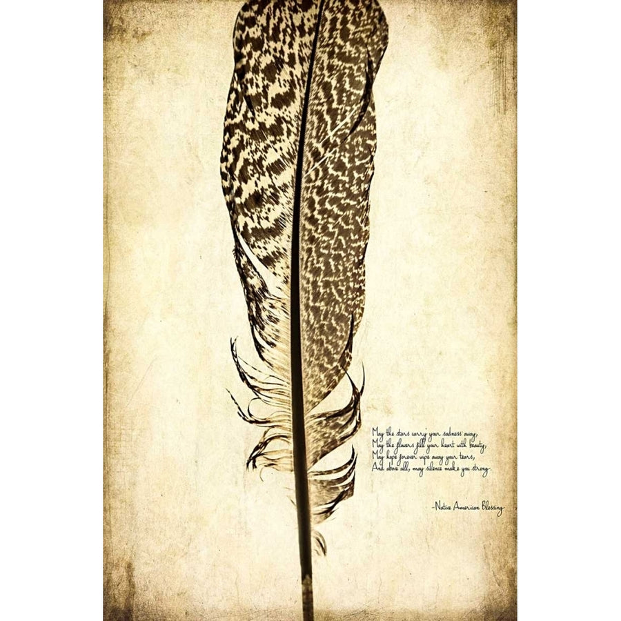 Feather on the Wind VI Poster Print - Honey Malek-VARPDX149024Z Image 1