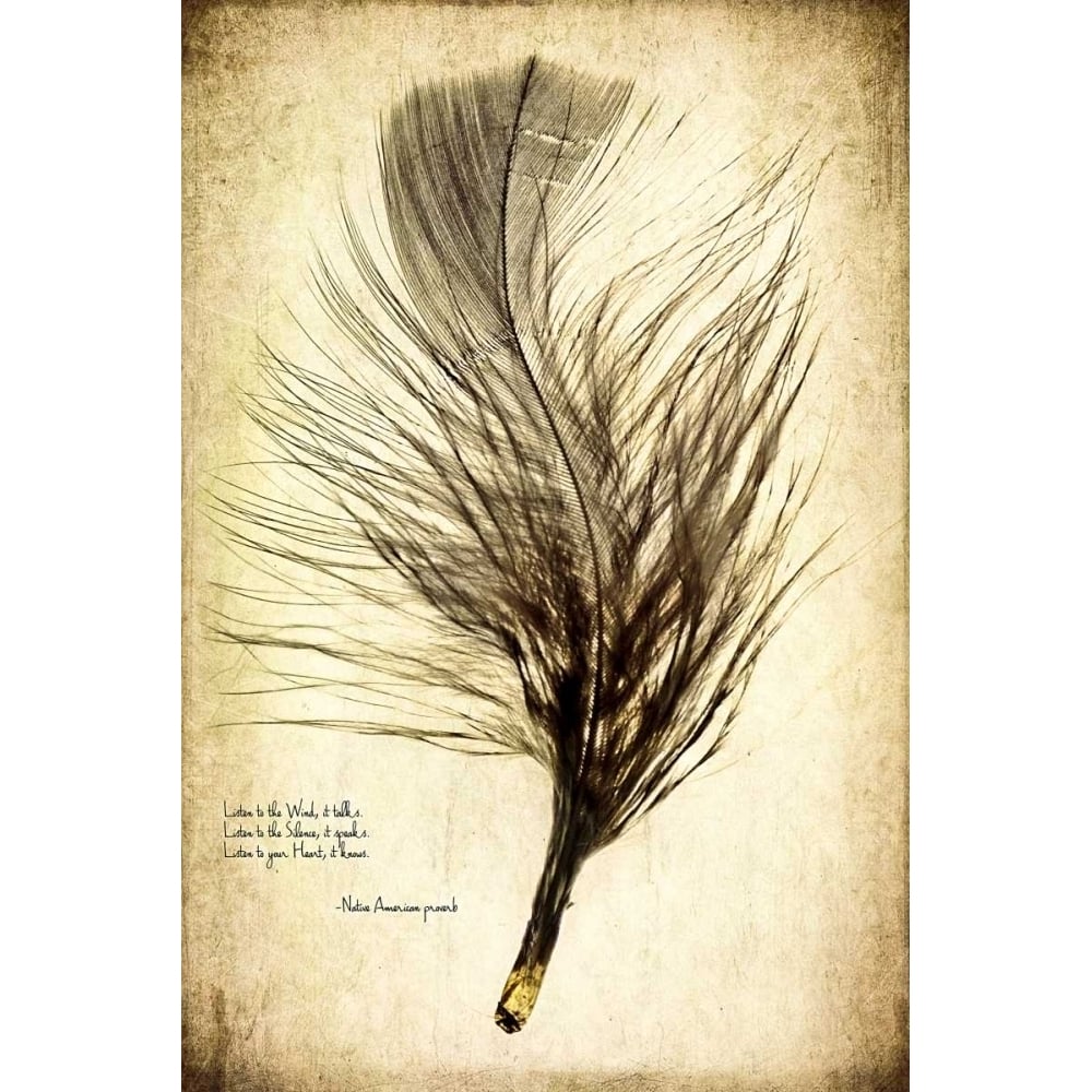 Feather on the Wind II Poster Print - Honey Malek-VARPDX149020Z Image 1