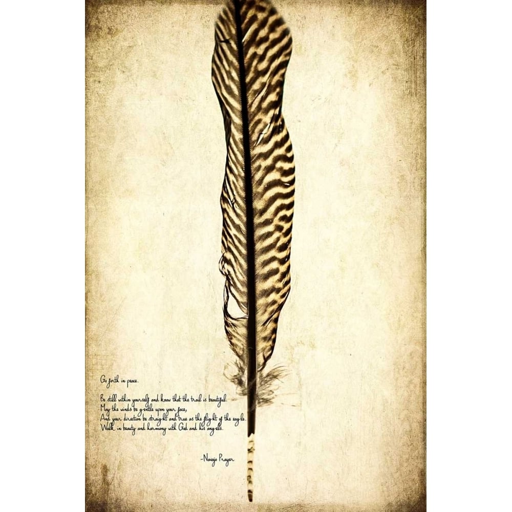 Feather on the Wind V Poster Print - Honey Malek-VARPDX149023Z Image 1