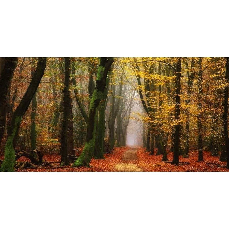 Shimmer Poster Print by Lars Van de Goor-VARPDX14923 Image 1