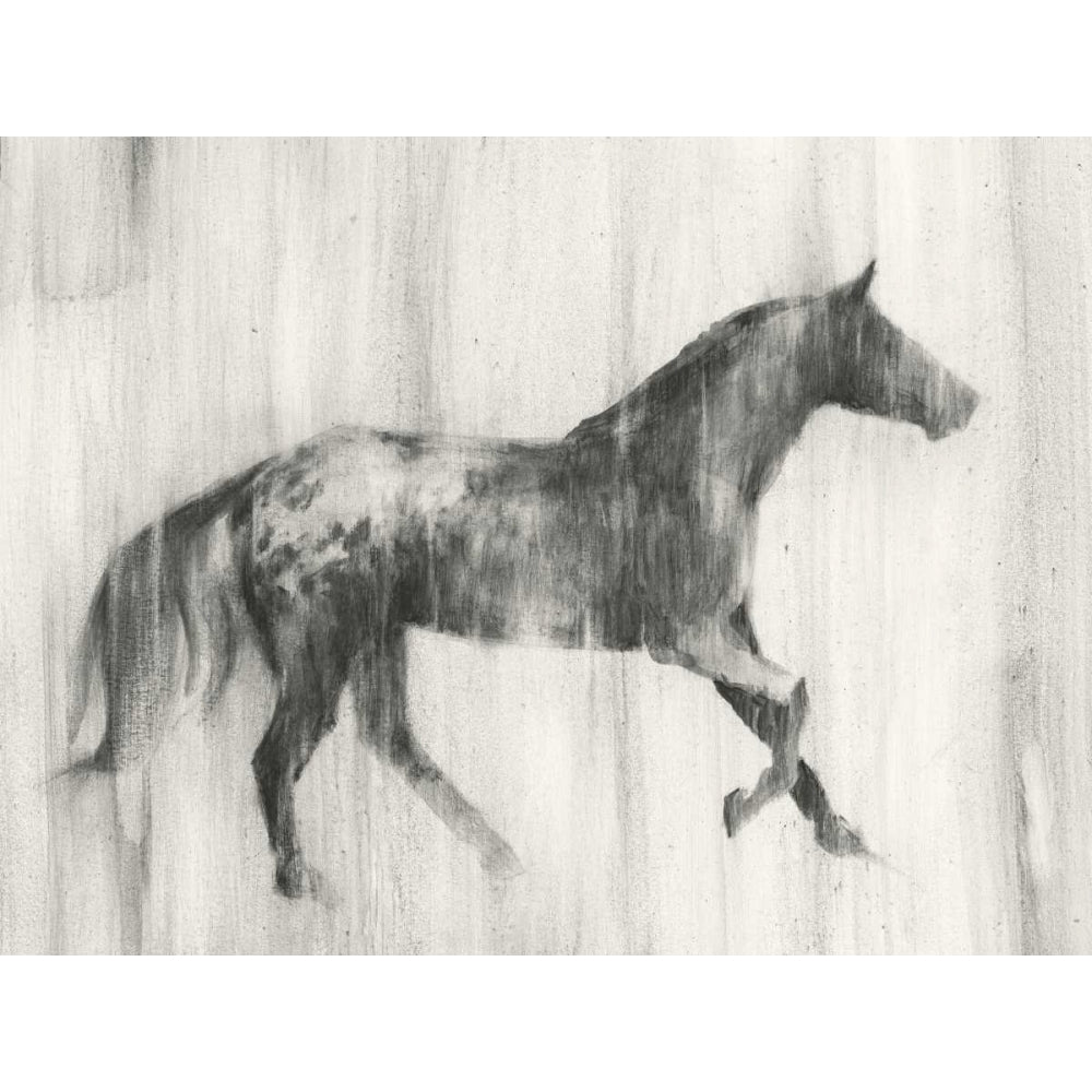 Appaloosa Study I Poster Print - Ethan Harper-VARPDX149377Z Image 1