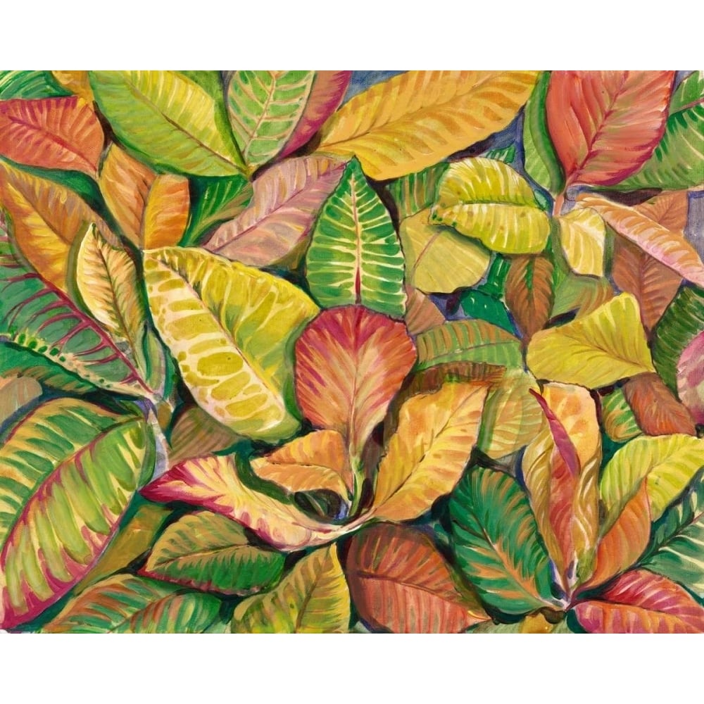 Tropical Close Up II Poster Print - Tim OToole-VARPDX149420Z Image 1