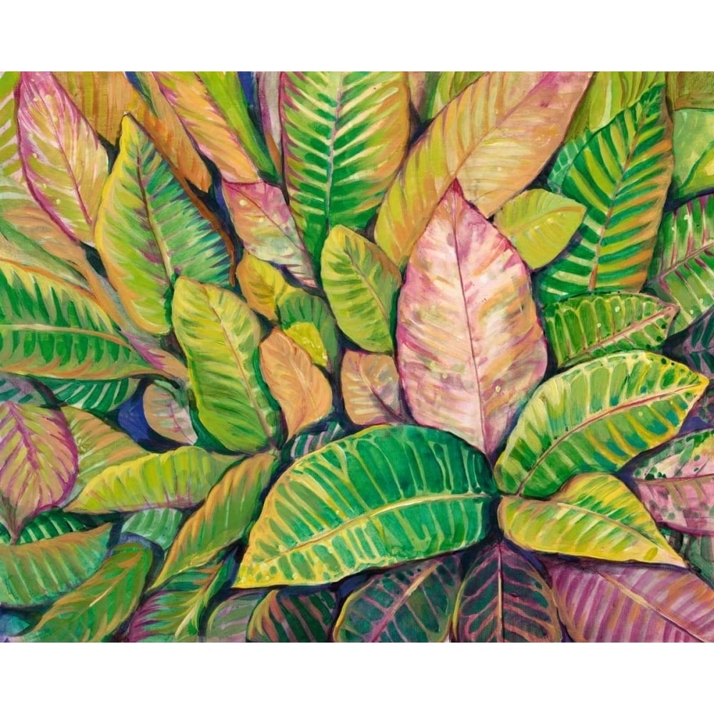 Tropical Close Up I Poster Print - Tim OToole-VARPDX149419Z Image 1