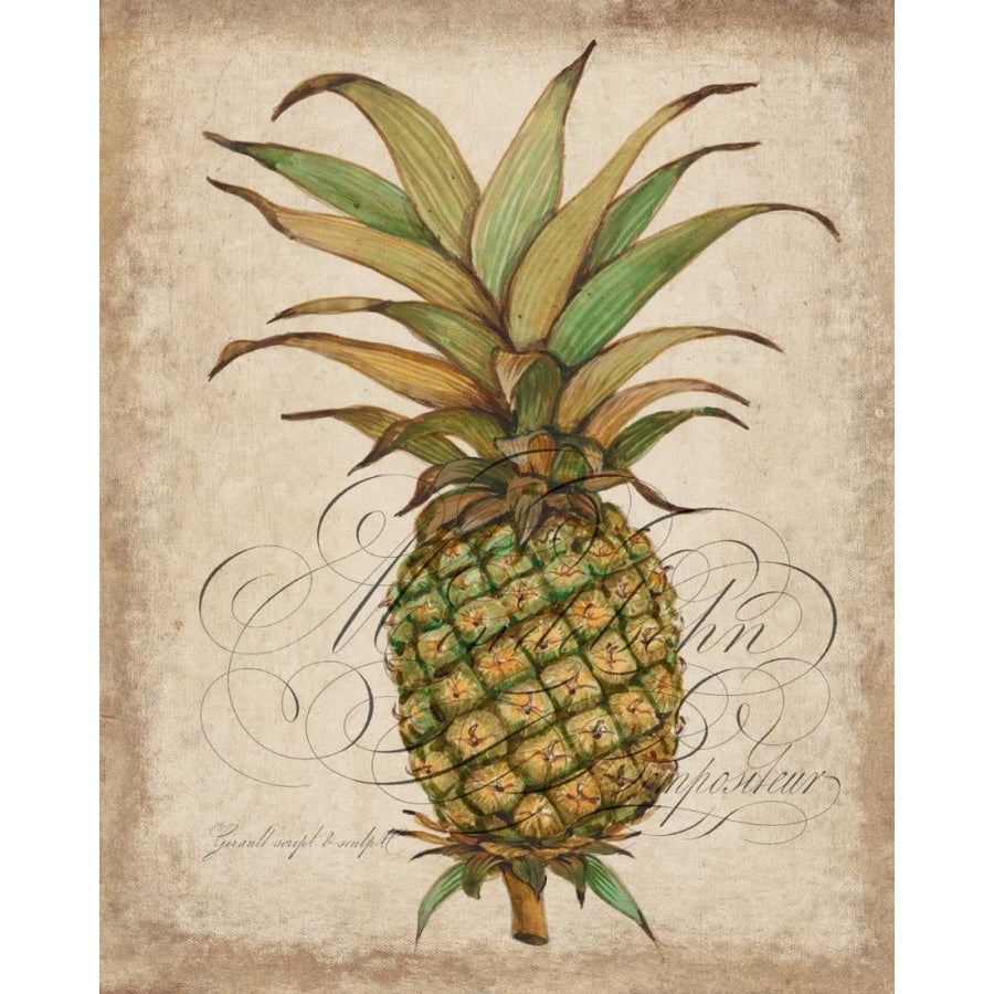 Pineapple Study I Poster Print - Tim OToole-VARPDX149430GG Image 1