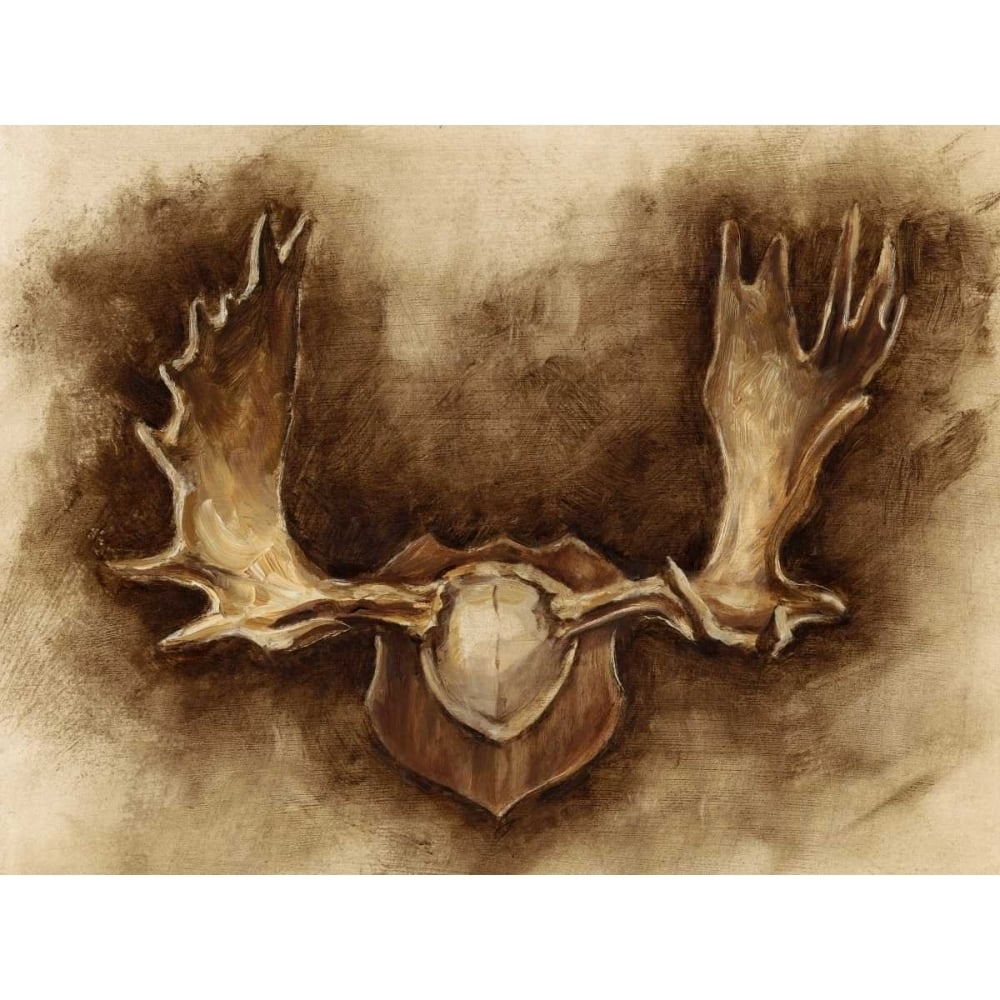 Rustic Antler Mount II Poster Print - Ethan Harper-VARPDX149605Z Image 1