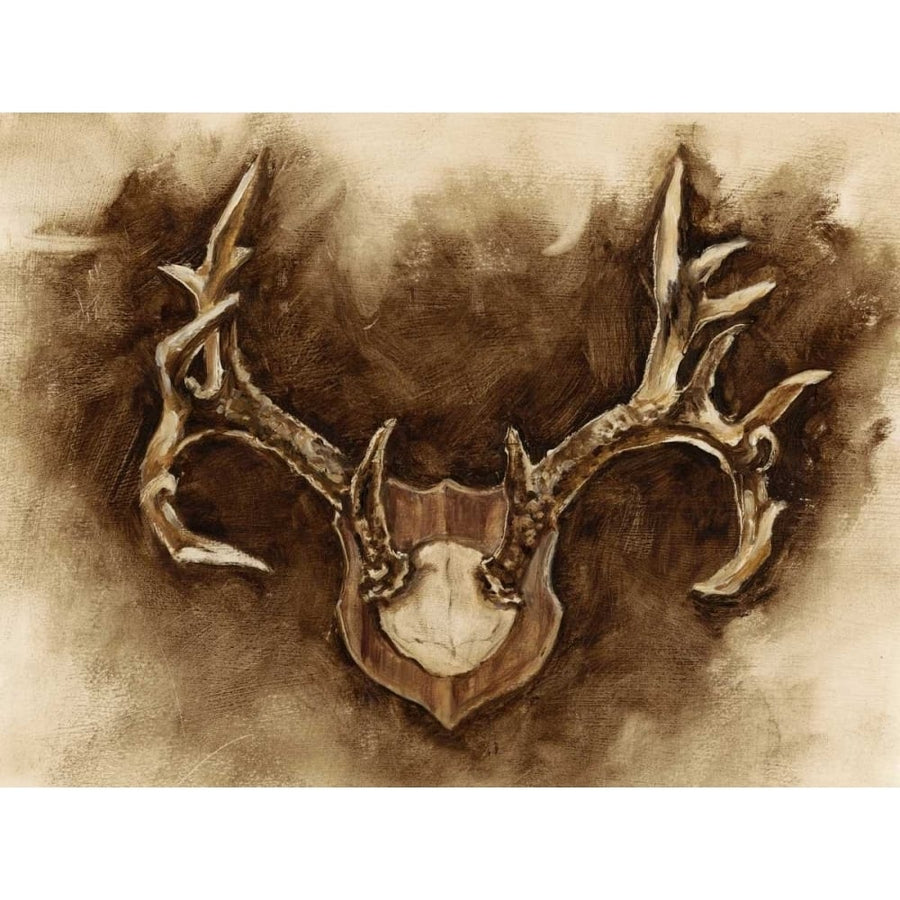 Rustic Antler Mount I Poster Print - Ethan Harper-VARPDX149604Z Image 1