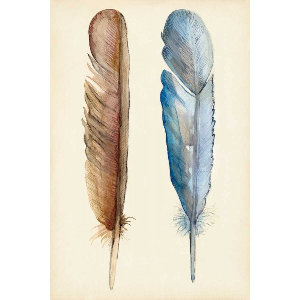 Plumage I Poster Print - Alicia Ludwig-VARPDX149606Z Image 1