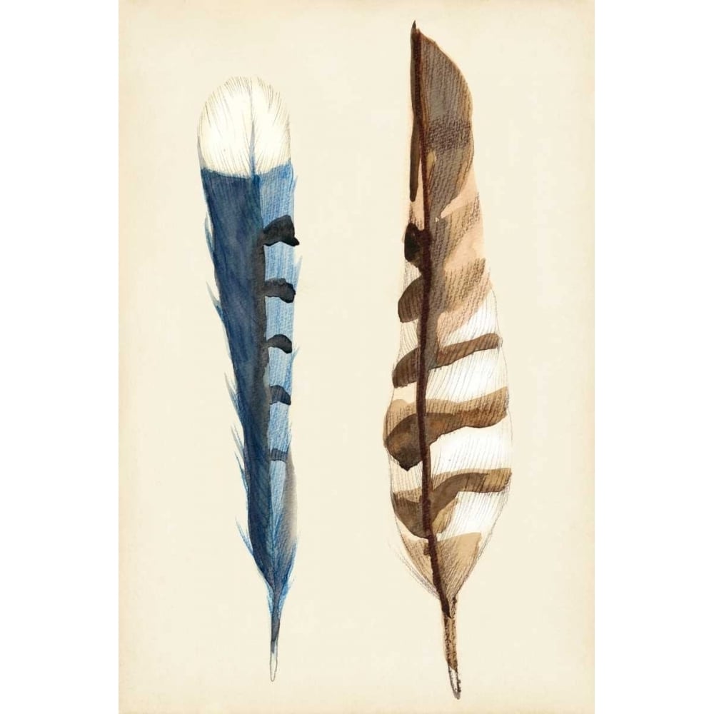 Plumage III Poster Print - Alicia Ludwig-VARPDX149608Z Image 1