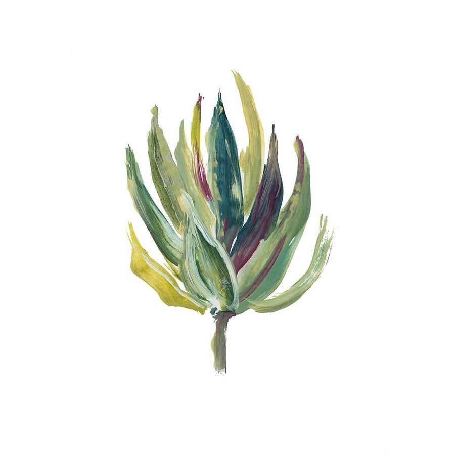 Succulent II Poster Print - Lanie Loreth-VARPDX14963A Image 1