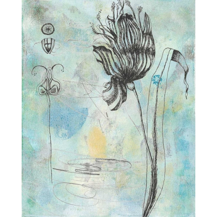 Botanical Abstract I Poster Print - Naomi McCavitt-VARPDX149776Z Image 1