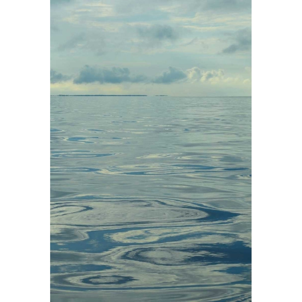 Water II Poster Print - Sharon Chandler-VARPDX149855GG Image 1