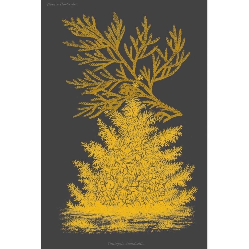 Trees and Leaves II Poster Print - Studio Vision-VARPDX150124Z Image 1