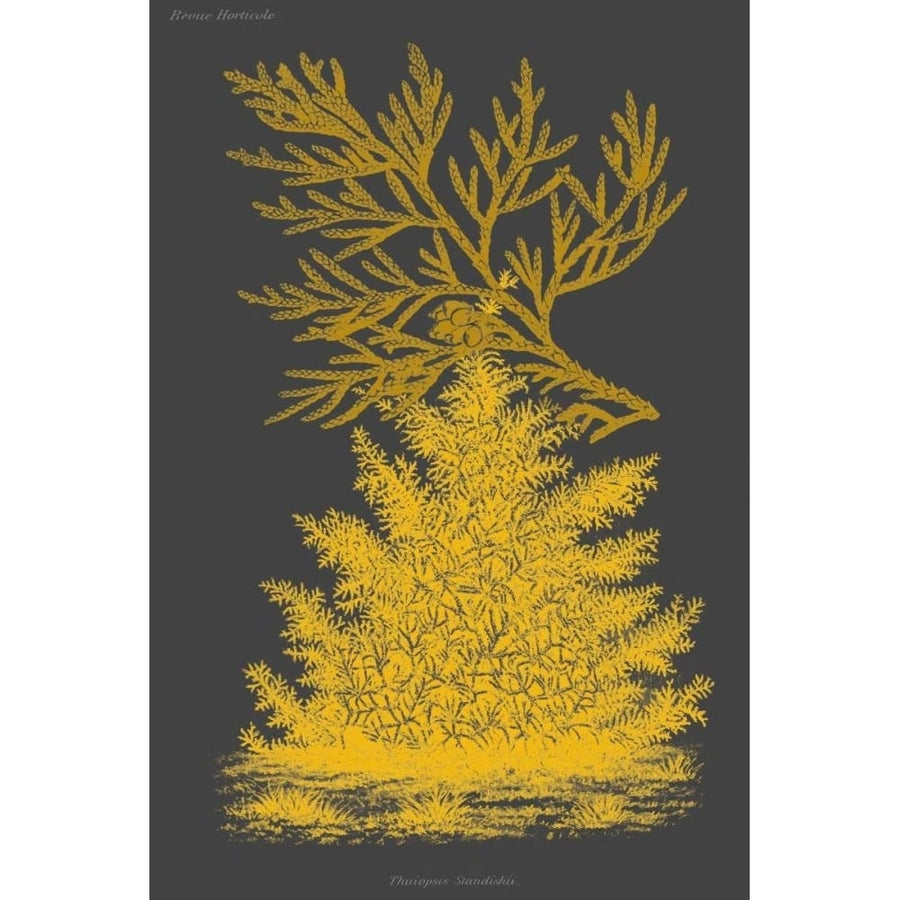 Trees and Leaves II Poster Print - Studio Vision-VARPDX150124Z Image 1