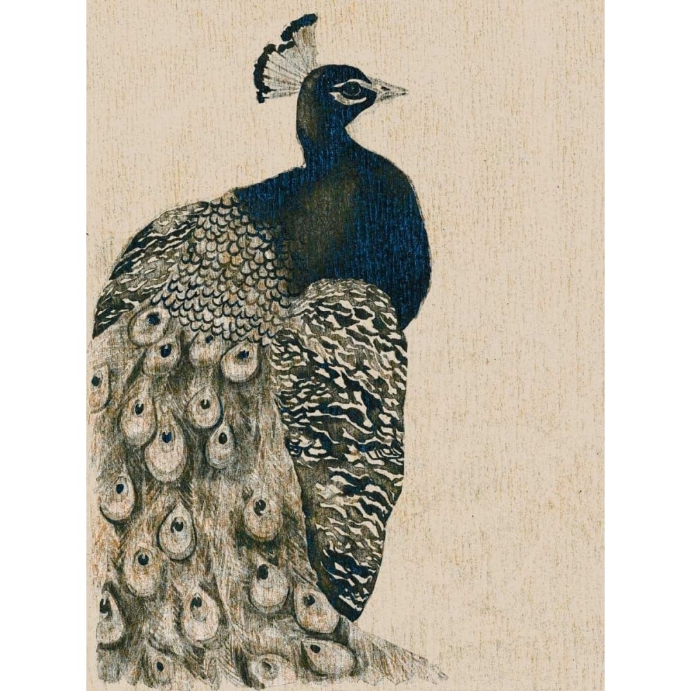 Textured Peacock I Poster Print - Grace Popp-VARPDX150295Z Image 1