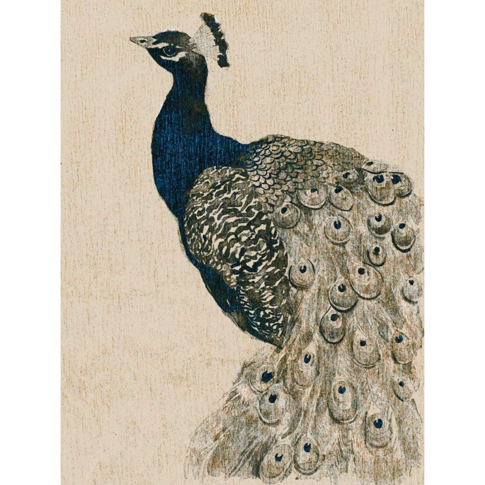 Textured Peacock II Poster Print - Grace Popp-VARPDX150296Z Image 1