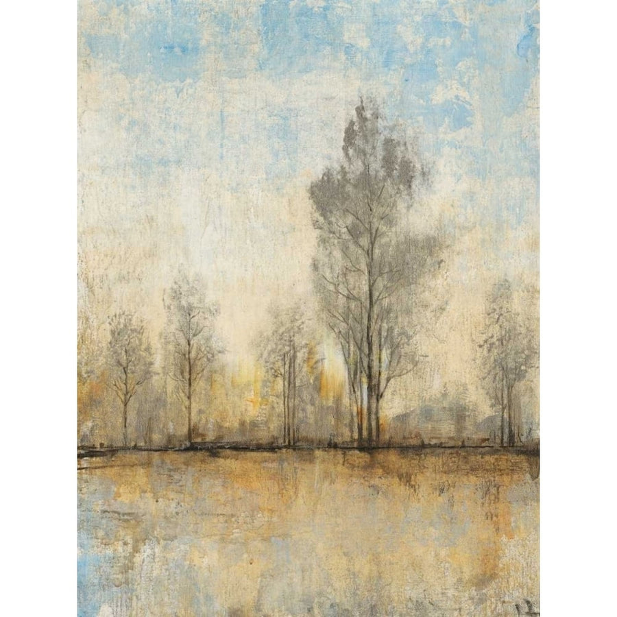 Quiet Nature I Poster Print - Tim OToole-VARPDX150324GG Image 1