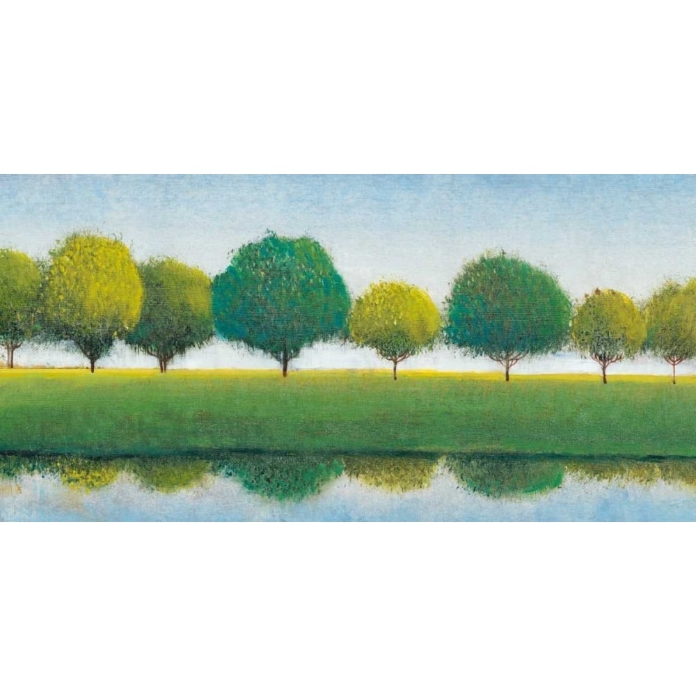 Trees in a Line I Poster Print - Tim OToole-VARPDX150320GG Image 1