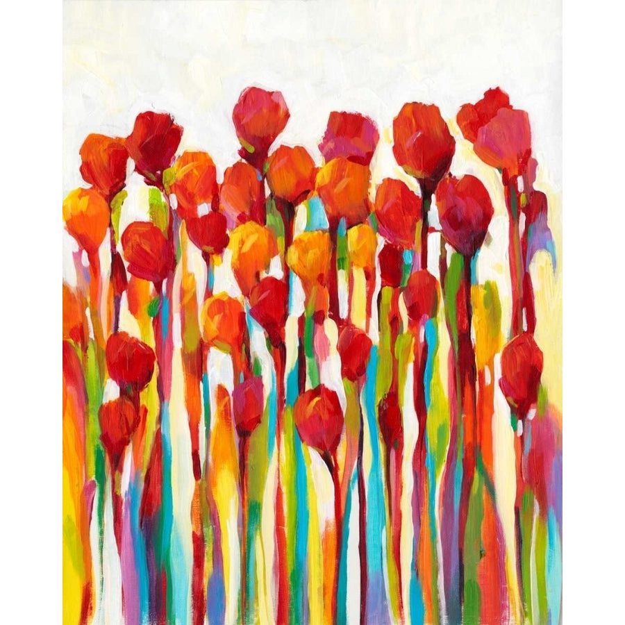 Bursting with Color I Poster Print - Tim OToole-VARPDX150322GG Image 1