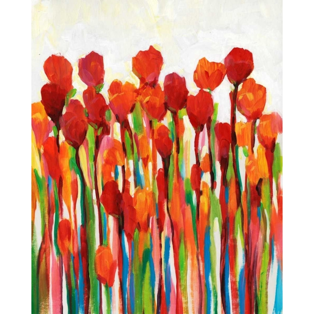 Bursting with Color II Poster Print - Tim OToole-VARPDX150323GG Image 1