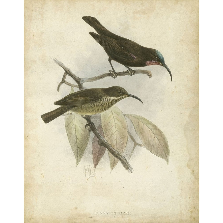 Custom Antique Gould Hummingbird I-VARPDX150588Z Image 1