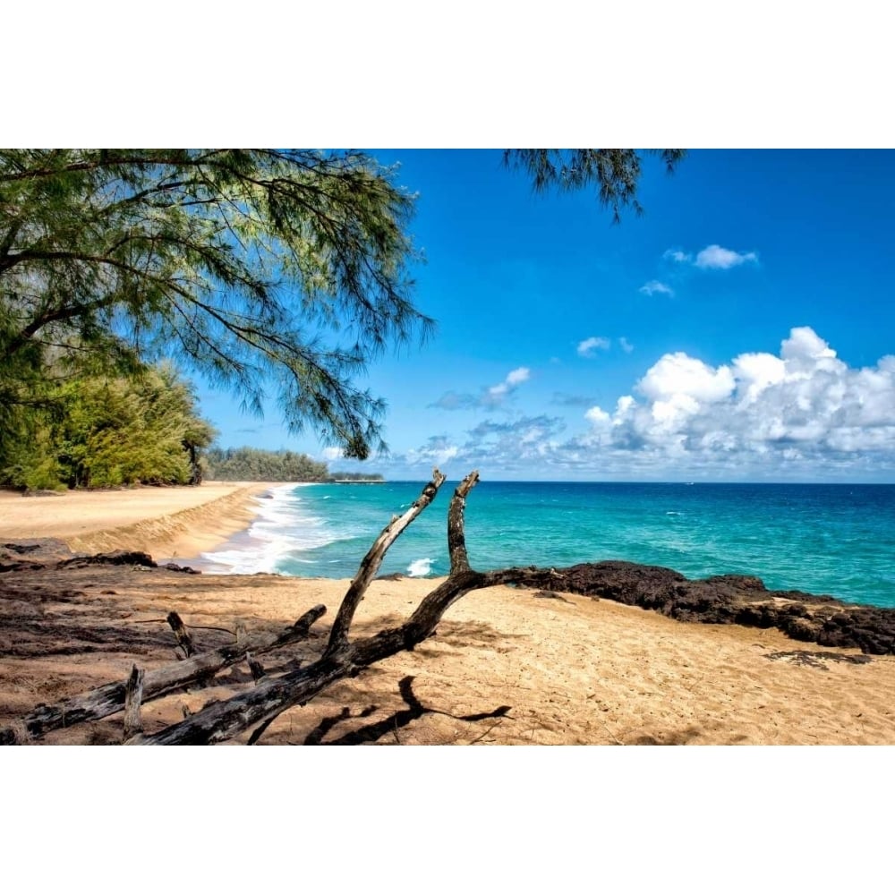 Lumahai Beach Poster Print - Danny Head-VARPDX151000Z Image 1