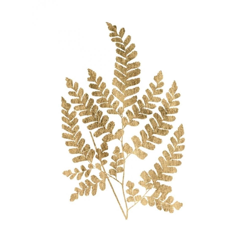 Graphic Gold Fern II Poster Print - W Studio-VARPDX151117D Image 1