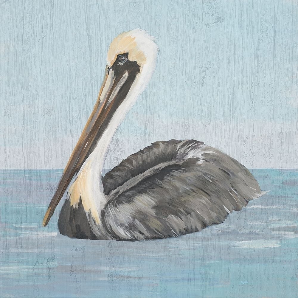 Pelican Wash I Poster Print by Julie DeRice-VARPDX15118 Image 1