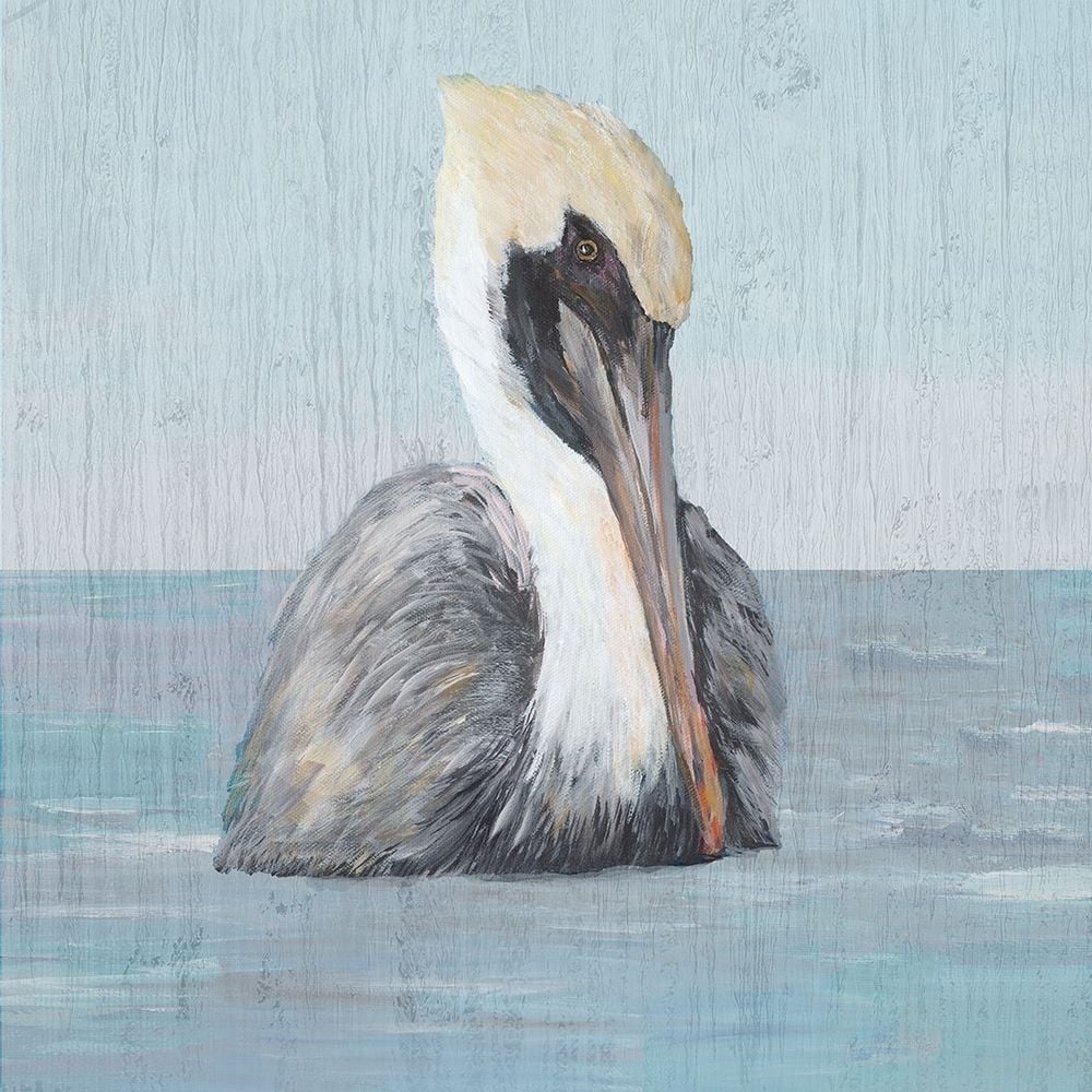 Pelican Wash II Poster Print by Julie DeRice-VARPDX15119 Image 1