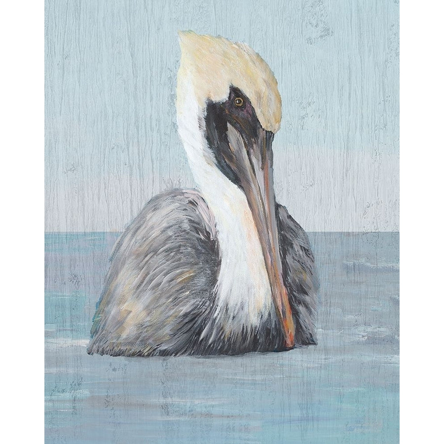 Pelican Wash II Poster Print by Julie DeRice-VARPDX15119AB Image 1