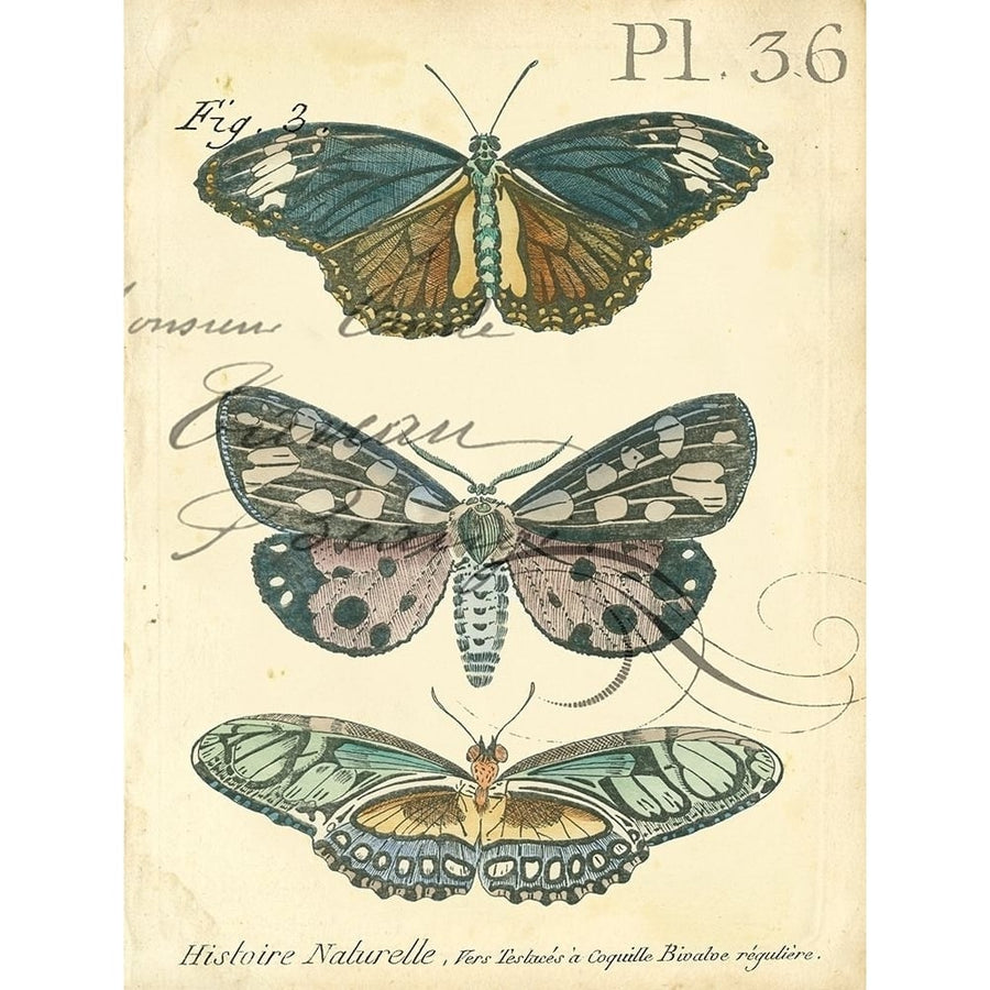 Custom Butterfly Ephemera III-VARPDX151292D Image 1