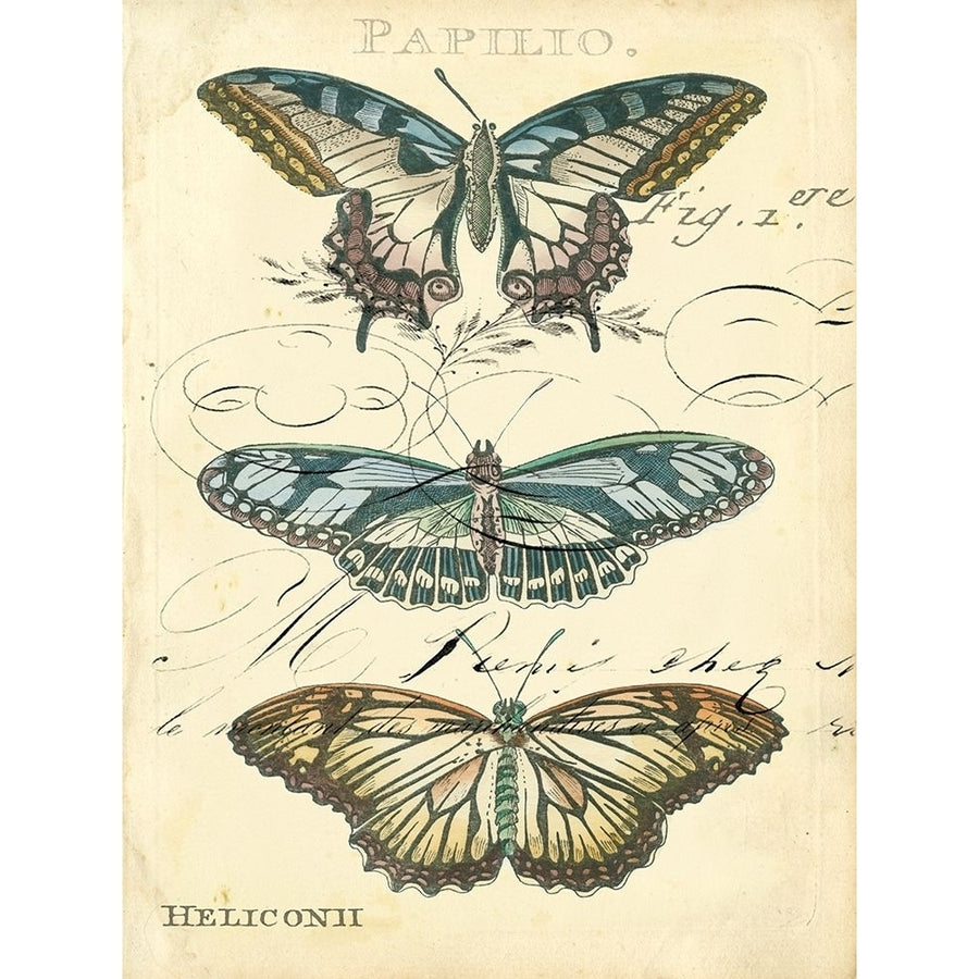 Custom Butterfly Ephemera I-VARPDX151290D Image 1