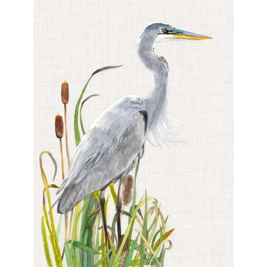 Waterbirds and Cattails I Poster Print - Naomi McCavitt-VARPDX151320Z Image 1