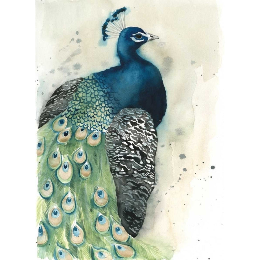 Watercolor Peacock Portrait I Poster Print - Grace Popp-VARPDX151528GG Image 1