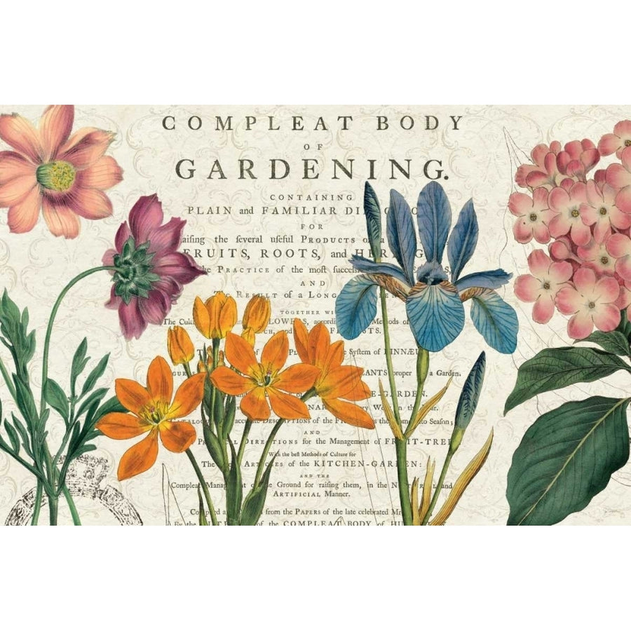 Botany Poster Print by Sue Schlabach-VARPDX15166 Image 1