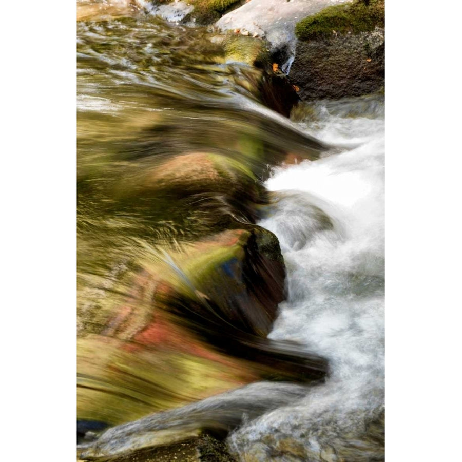 Water Abstract I Poster Print - Danny Head-VARPDX152000Z Image 1