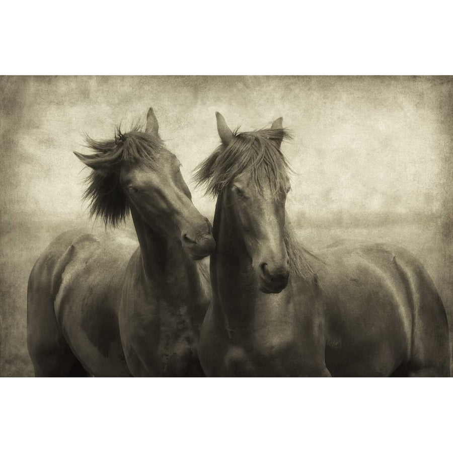 Horses Dont Whisper Poster Print by Lars Van de Goor-VARPDX15208 Image 1