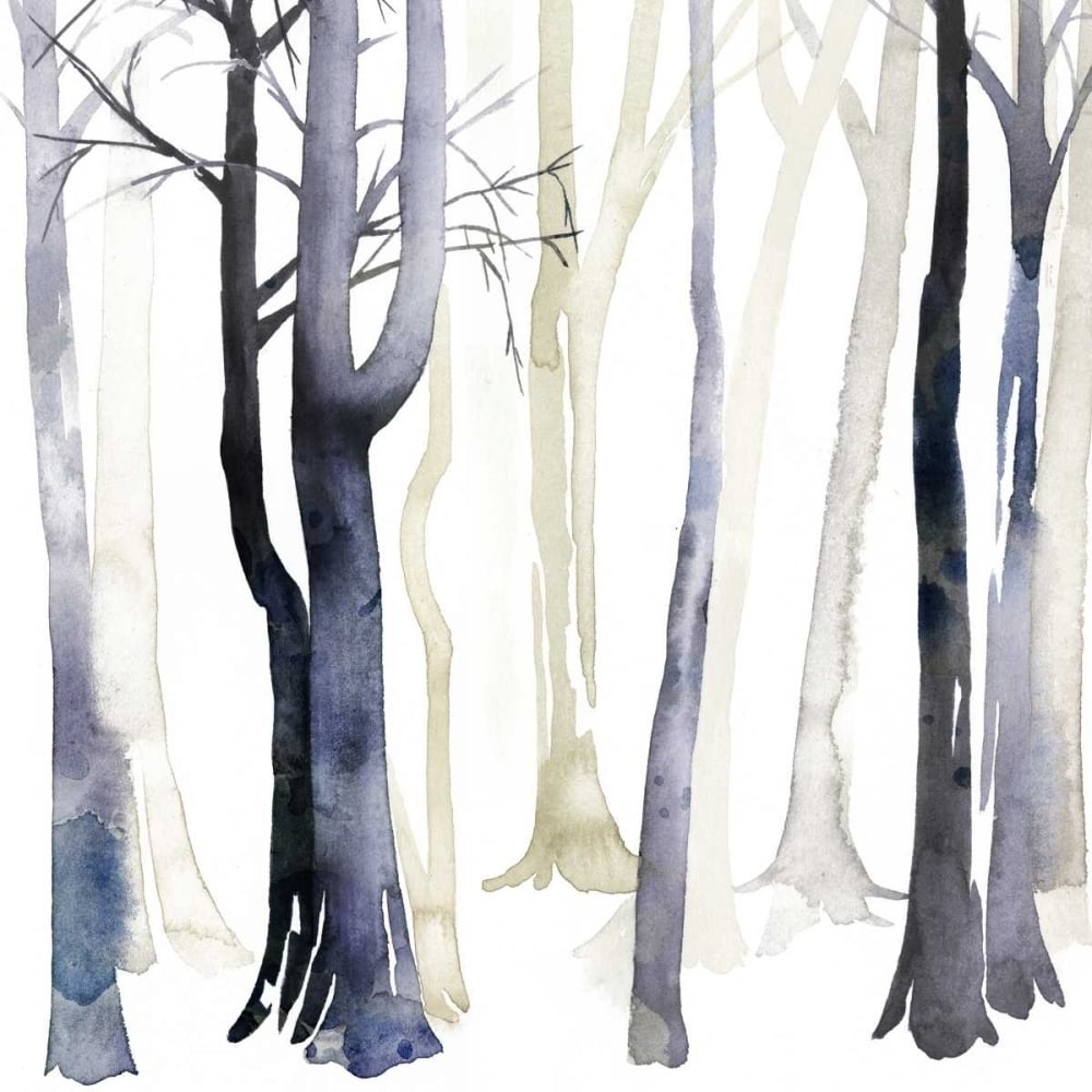 In the Forest I Poster Print - Grace Popp-VARPDX152142D Image 1