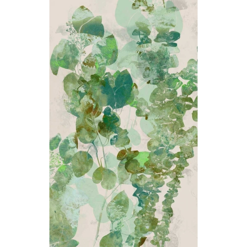 Watercolor Eucalyptus II Poster Print - Jennifer Goldberger-VARPDX152131GG Image 1