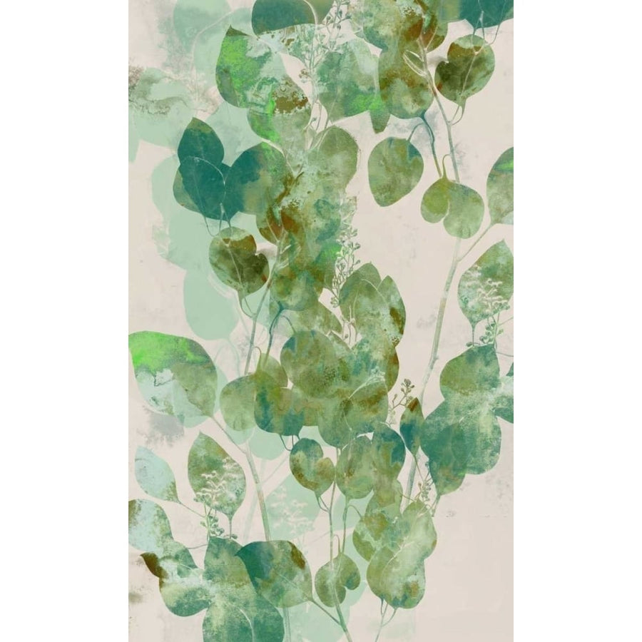 Watercolor Eucalyptus I Poster Print - Jennifer Goldberger-VARPDX152130GG Image 1