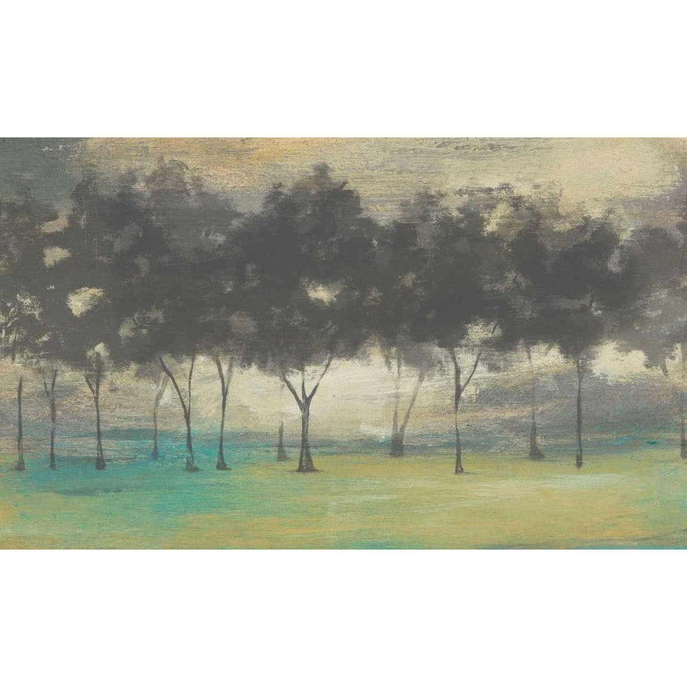 Soft Grove I Poster Print - Jennifer Goldberger-VARPDX152477GG Image 1